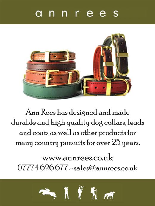 Anne Rees Designs Ann Rees | Pets and Animals Directory Portal