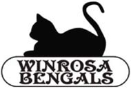 Winrosa Bengals