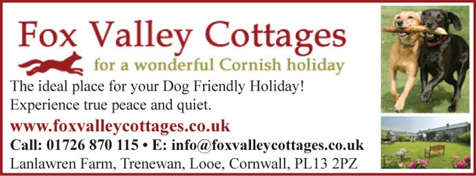 Cornwall Pets And Animals Directory Portal