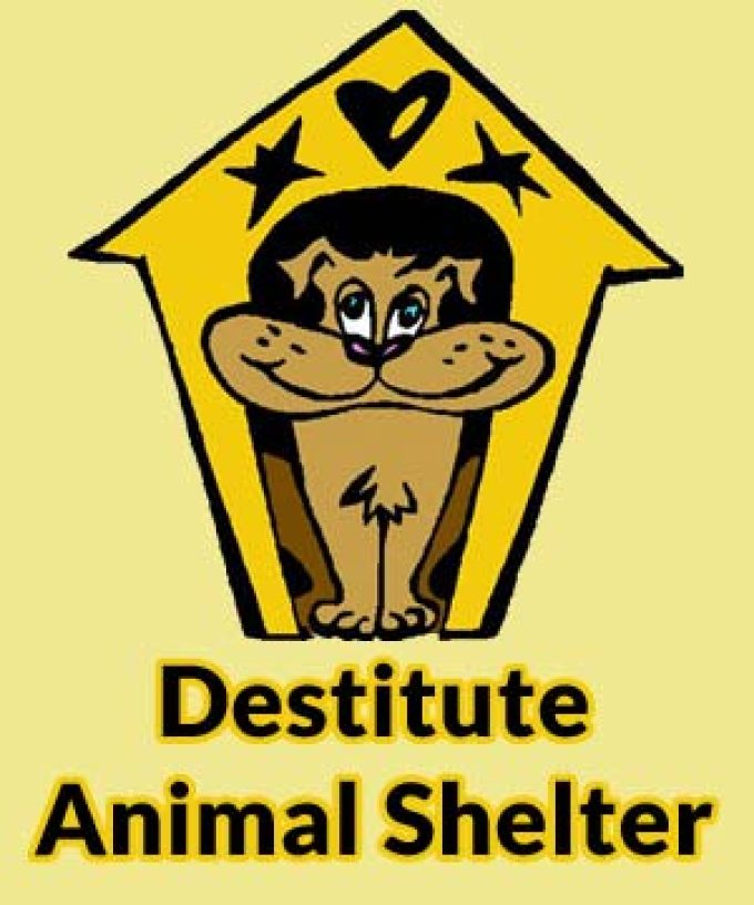 Destitute Animal Shelter