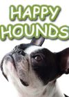 Happy Hounds (Islington)