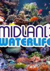 Midland Waterlife