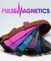 Pulse Magnetics