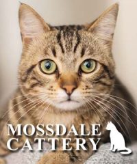 Mossdale Cat Boarding Kennels
