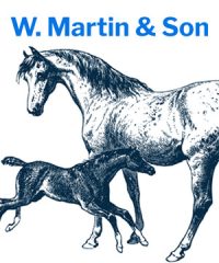 W Martin & Son
