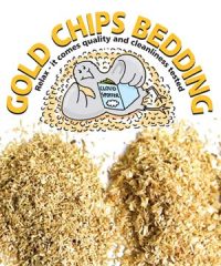 Gold Chips Bedding – (LBS Biotech)