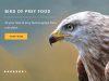 Kiezebrink UK Ltd