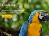 Kiezebrink UK Ltd