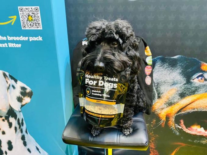 ProDog Raw Ltd