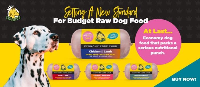 ProDog Raw Ltd