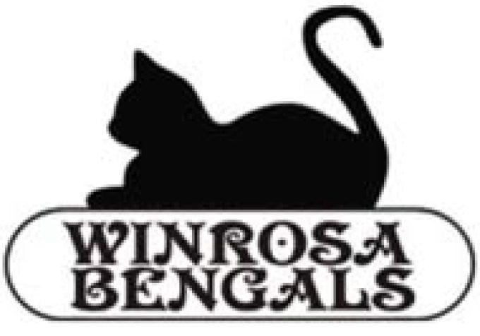 Winrosa Bengals