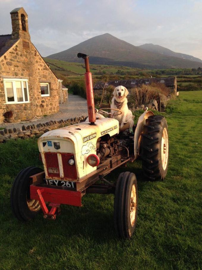 Bachwen Farm & Cottages
