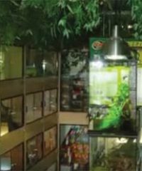 Paul’s Reptile Den