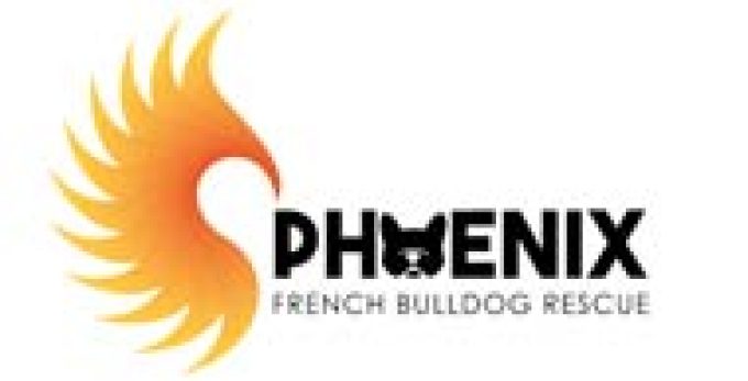 Phoenix French Bulldog Rescue