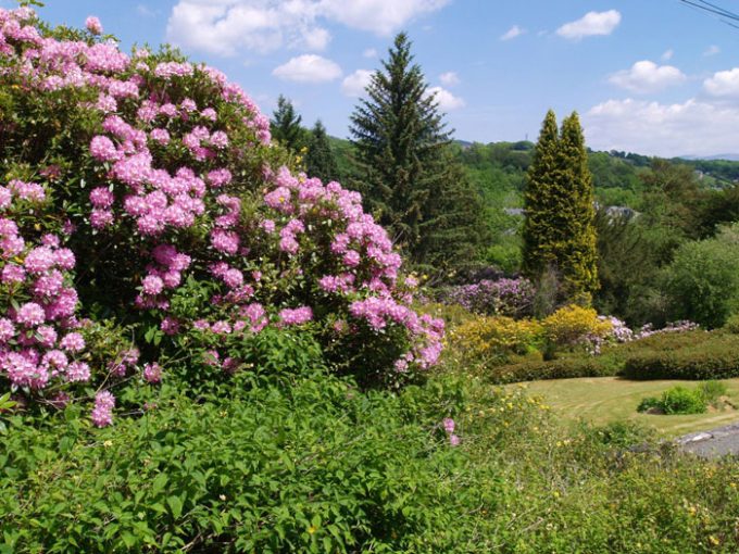 Brynygwin Country House & Cottages