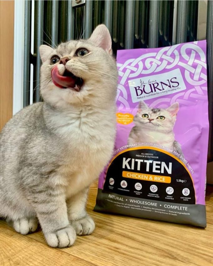 Burns Pet Nutrition 