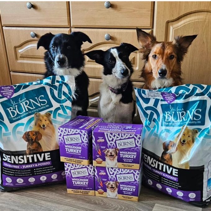 Burns Pet Nutrition 