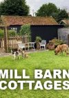 Mill House Holidays
