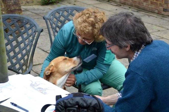 Tall Grass Animal Acupressure