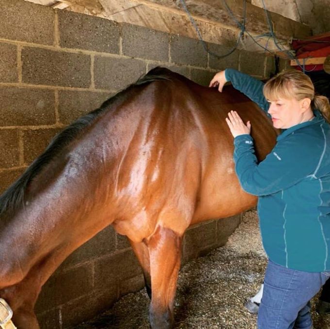 Tall Grass Animal Acupressure
