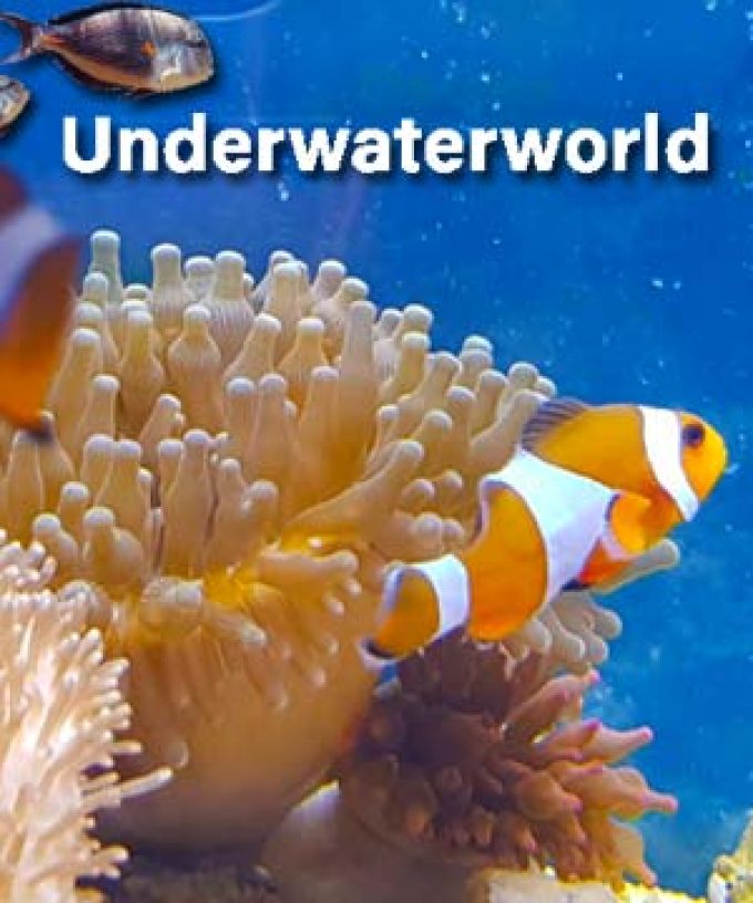 UnderWaterWorld