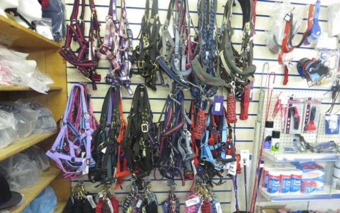 Underhill Riding Stables