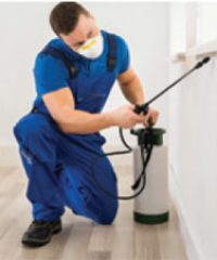 Ray Wilks Pest Control