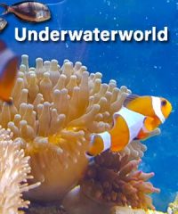 UnderWaterWorld