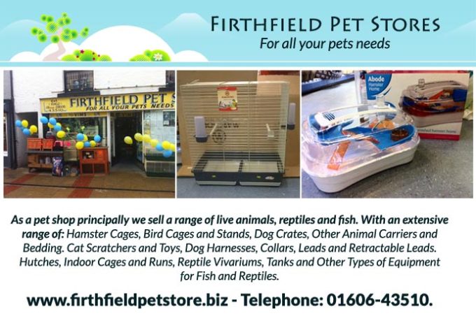 FirthField Pet Store