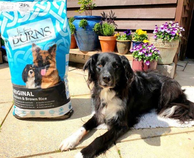 Burns Pet Nutrition 