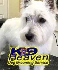 K9 Heaven Dog Grooming