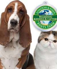 London & Essex Kents Farm Kennels & Cattery