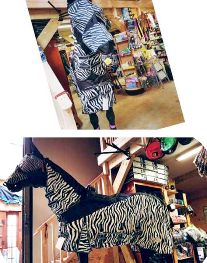 Pednor Equestrian Supplies (Pednor Rugs)