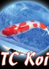 Tc Koi