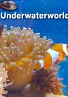 UnderWaterWorld