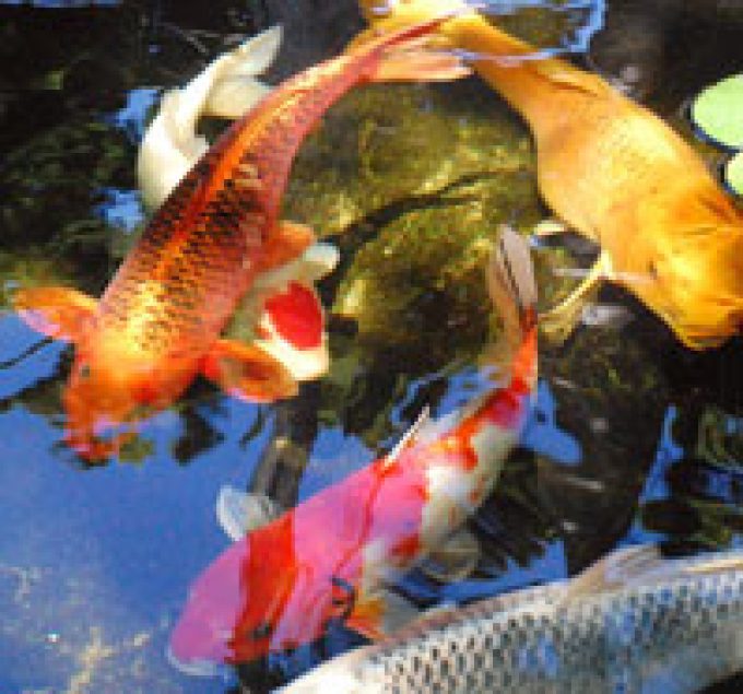 Gee-Grp Fibreglassing.co.uk