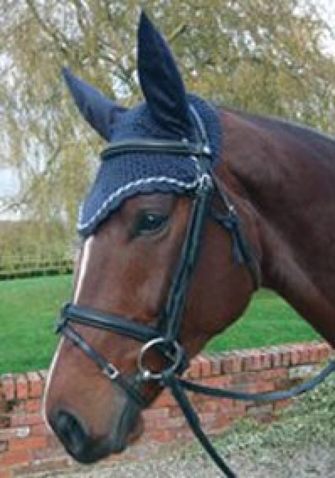Craftwear Equestrian Services and Products