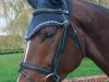 Craftwear Equestrian Services and Products