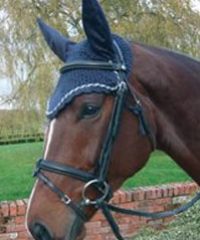 Craftwear Equestrian Services and Products