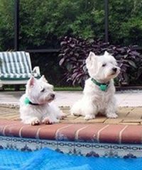 Safewater Alarms Ltd