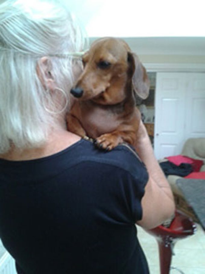 Happi Tails Home & Pet Sitting Services