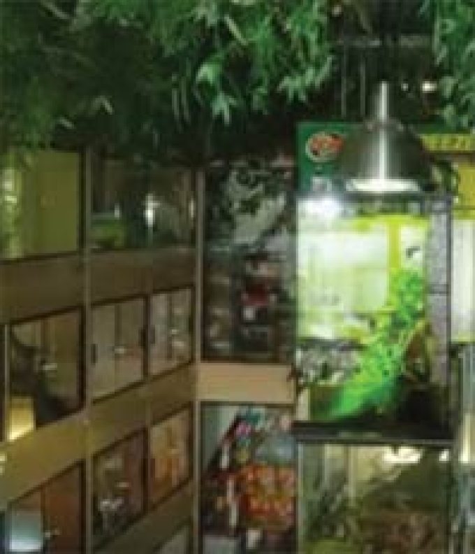 Paul’s Reptile Den