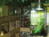 Paul’s Reptile Den