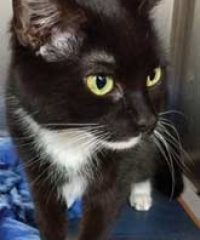 Animals In Distress Sanctuary