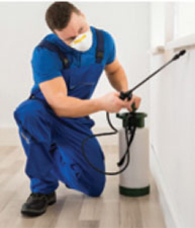 Ray Wilks Pest Control