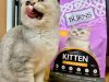 Burns Pet Nutrition 