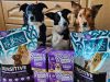 Burns Pet Nutrition 