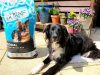 Burns Pet Nutrition 