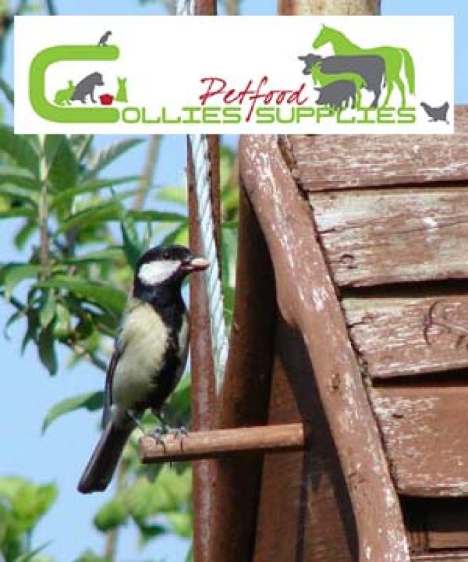 Collies Pet Food Supplies