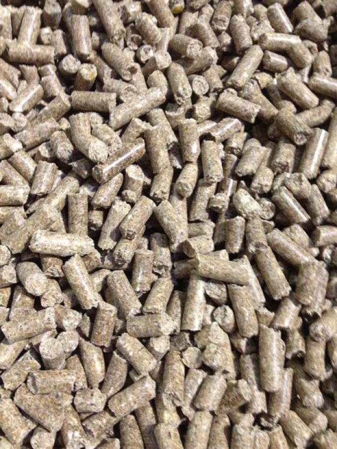 Collies Pet Food Supplies